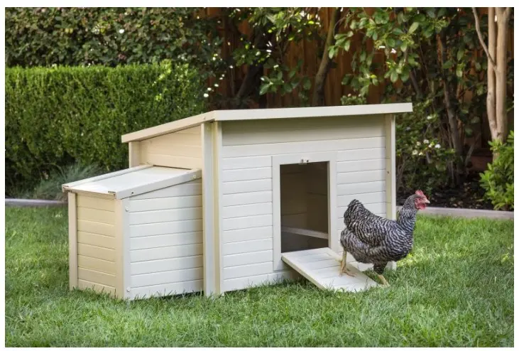 2026 Donneer een Kippenhok Polywood